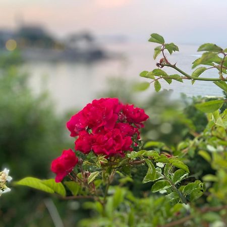 Mundaka Beachfront House Ngoại thất bức ảnh