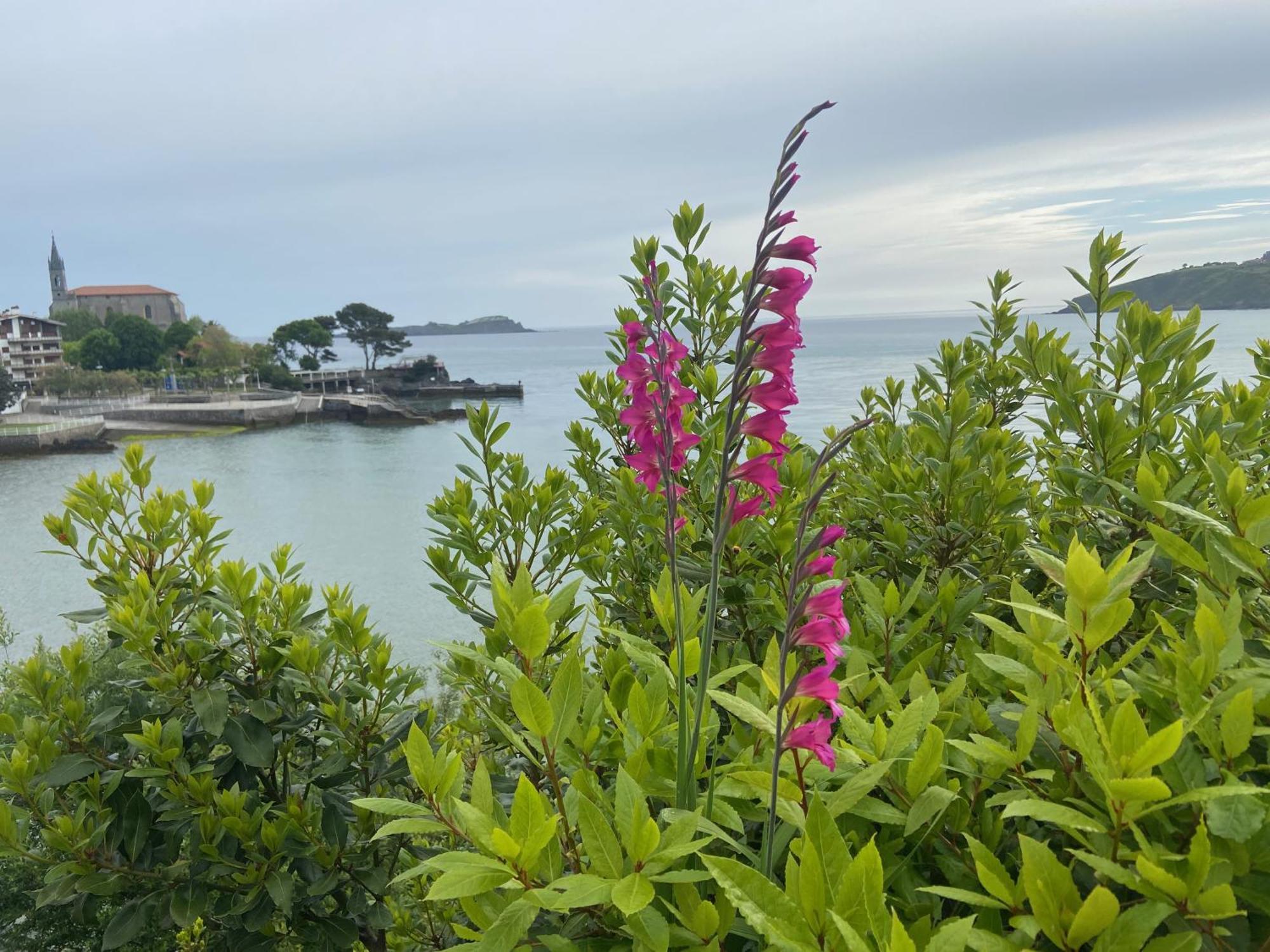 Mundaka Beachfront House Ngoại thất bức ảnh